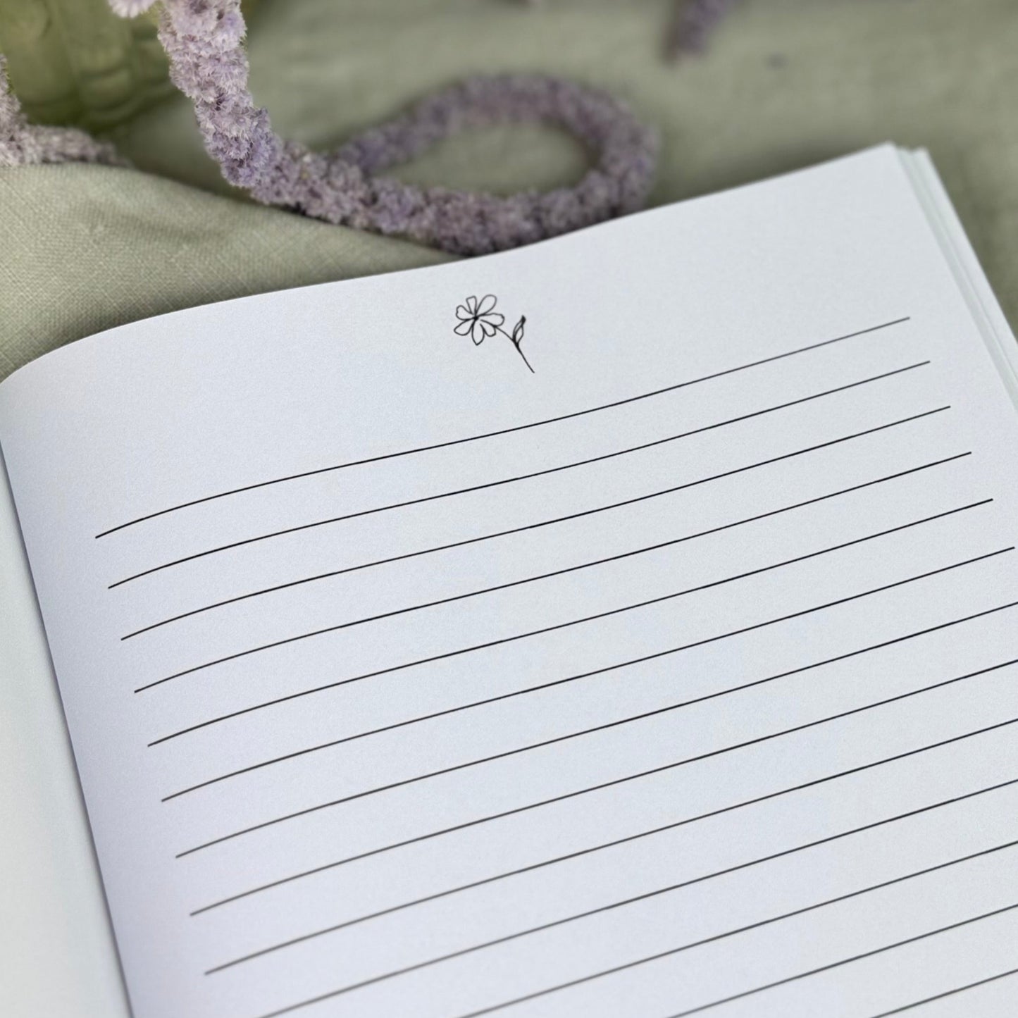 P+P Notebooks