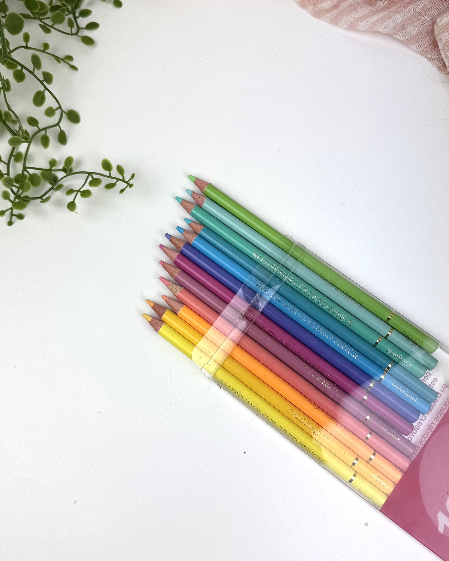 Coloring Pencils 12 pack