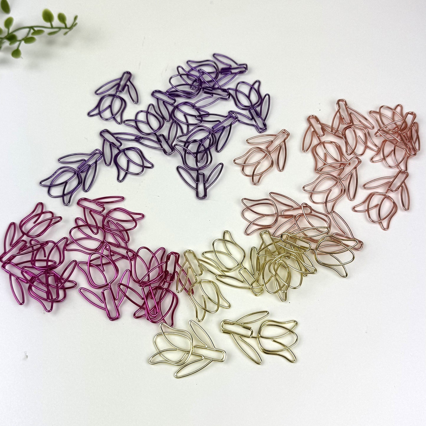 Tulip paper clips