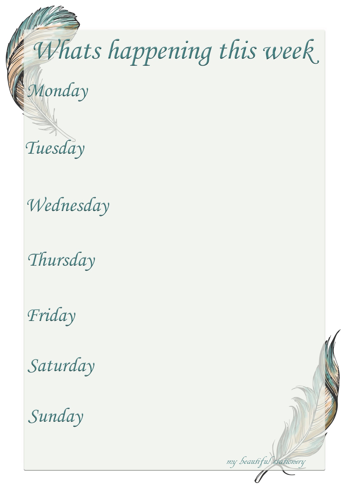 Meals and What's happening this week